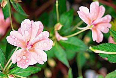 NS游戏《前线任务2：重制版》现已登陆其他平台